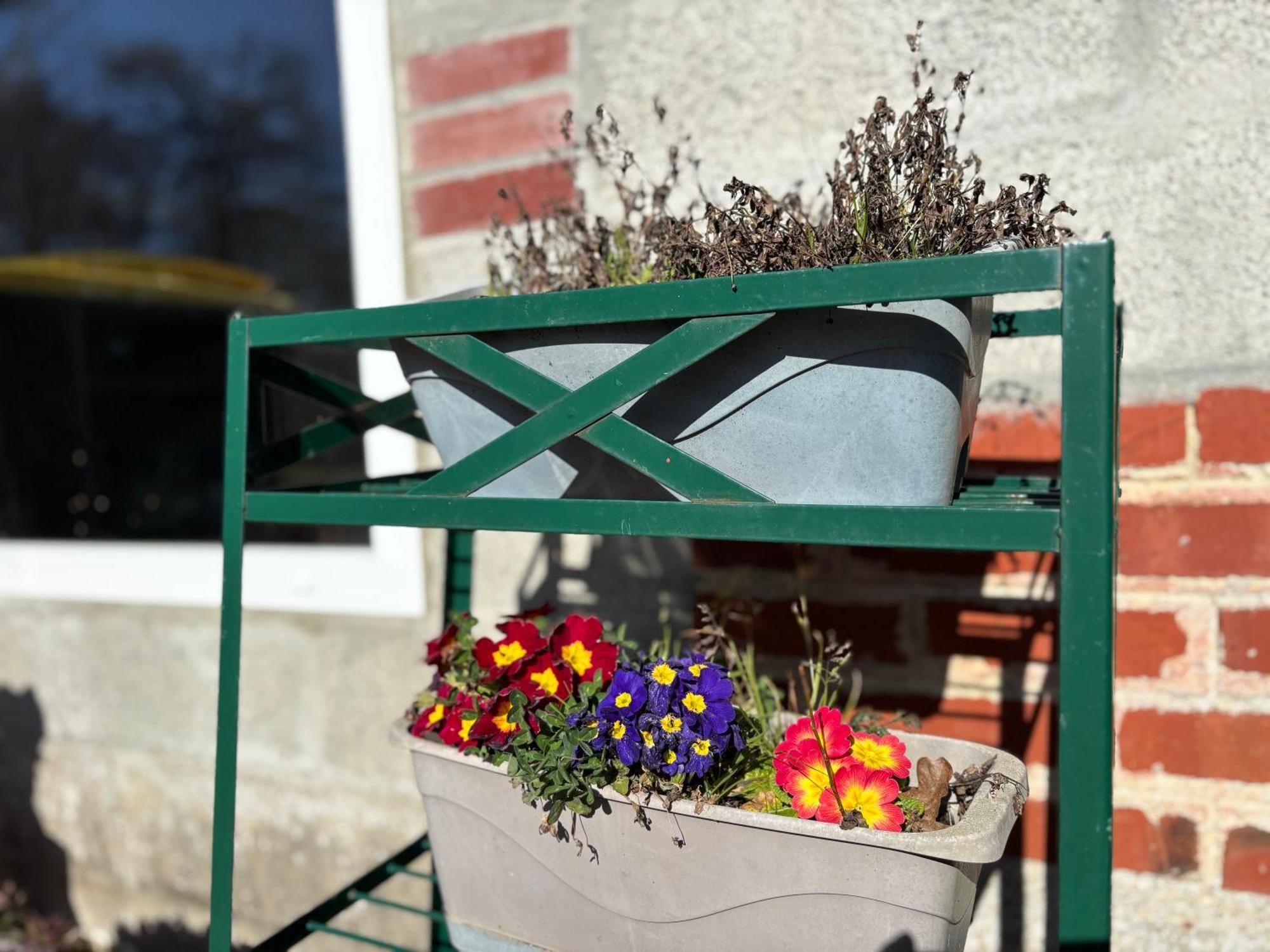 Maison De Campagne Lumineuse Spacieuse Dans Impasse Au Calme A Proximite D'Un Chateau Deux Verandas Grand Jardin Cabane Pour Velos, Pres Port En Bessin Et Bayeux, Proche Plages Du Debarquement Commes Eksteriør bilde
